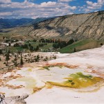 Mammoth Hot Springs (Yellowstone)