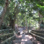 Ubud: la forêt des singes