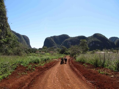 Cuba: Viñales