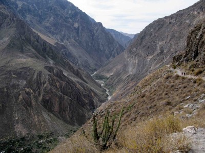 Pérou: le Cañon de Colca