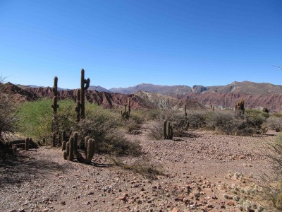 Bolivie: Tupiza et le Far West bolivien