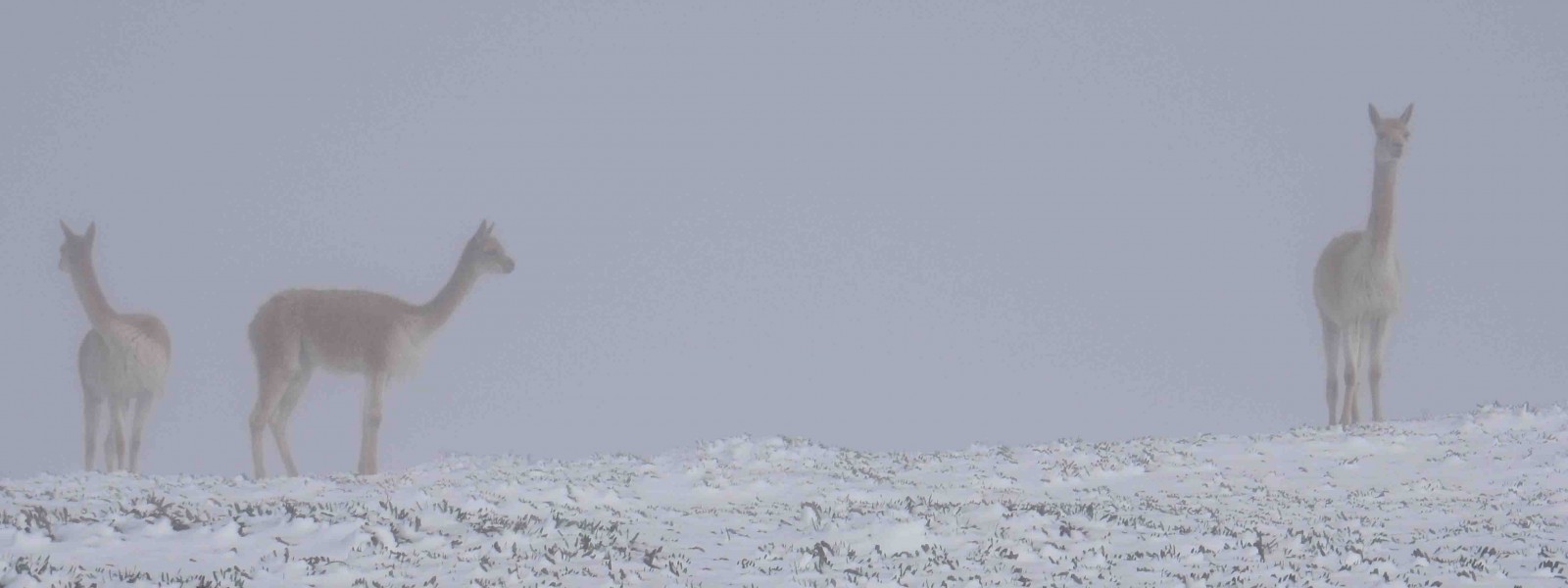 L&rsquo;Amérique du Sud: le bilan