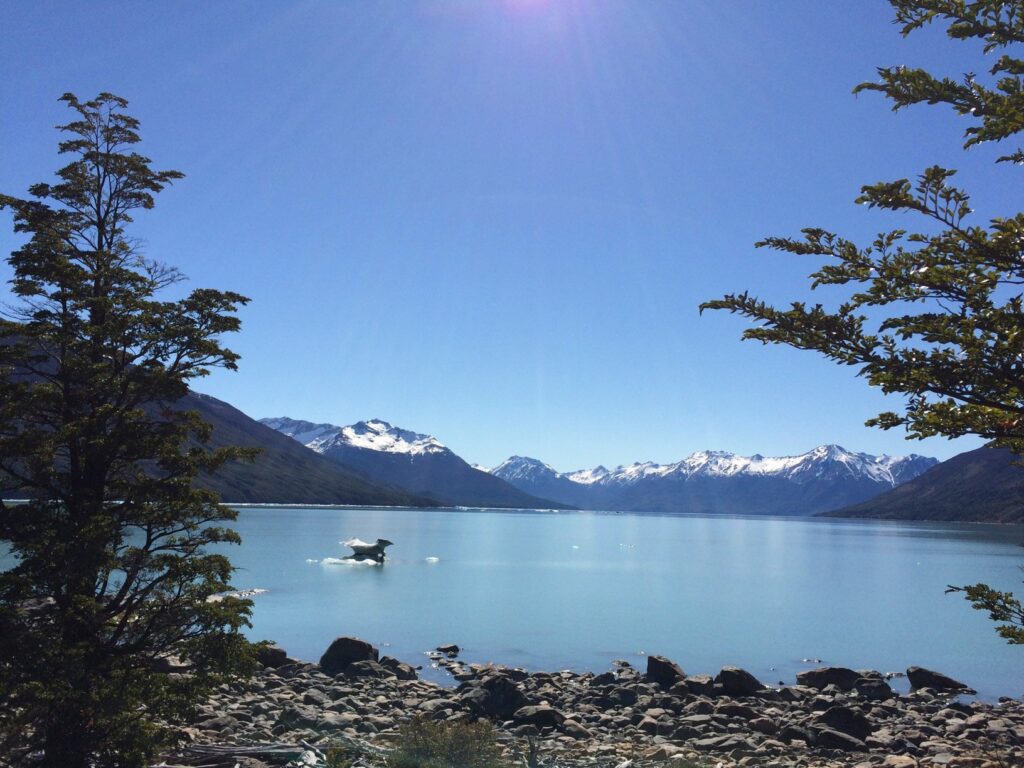 El Calafate: le glacier Perito Moreno