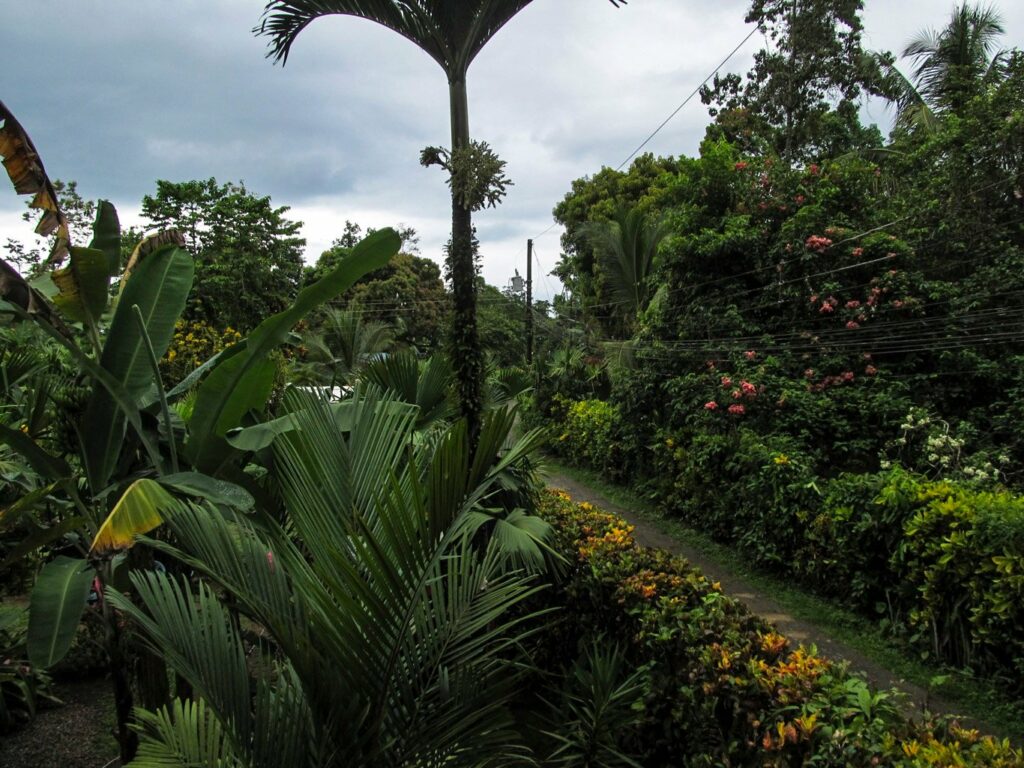 Cahuita: vue depuis notre balcon