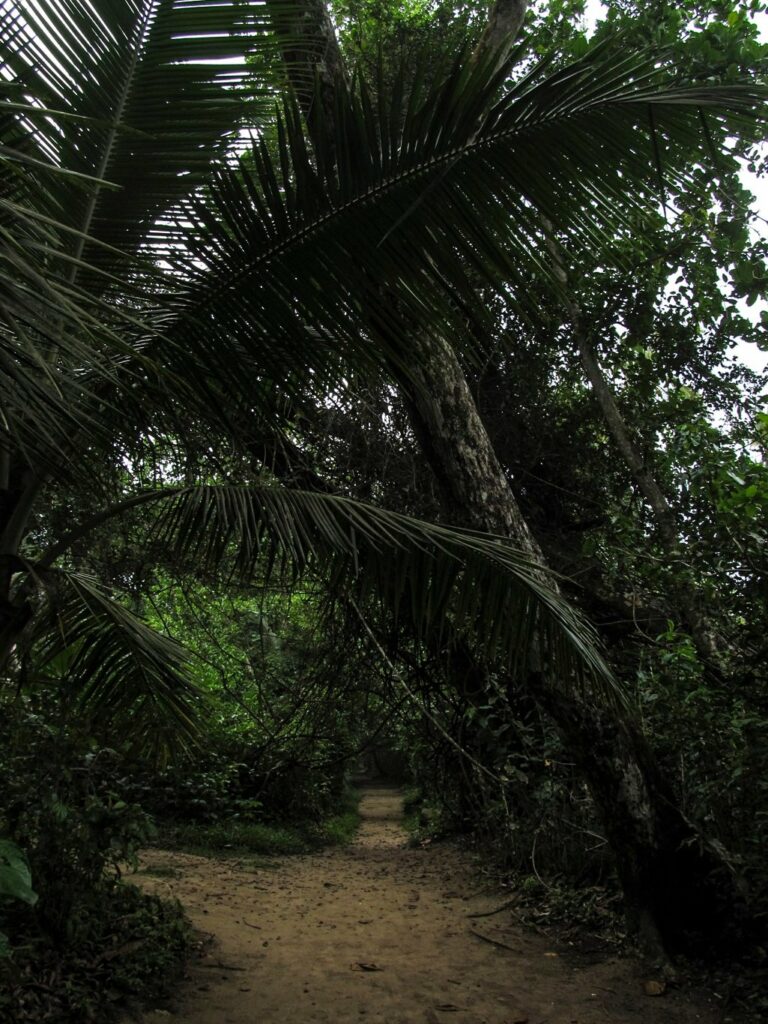 Parc National de Cahuita