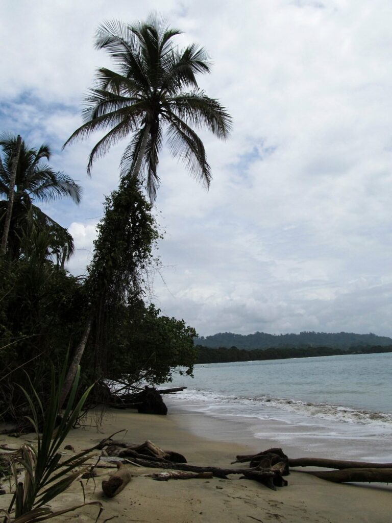 Parc National de Cahuita