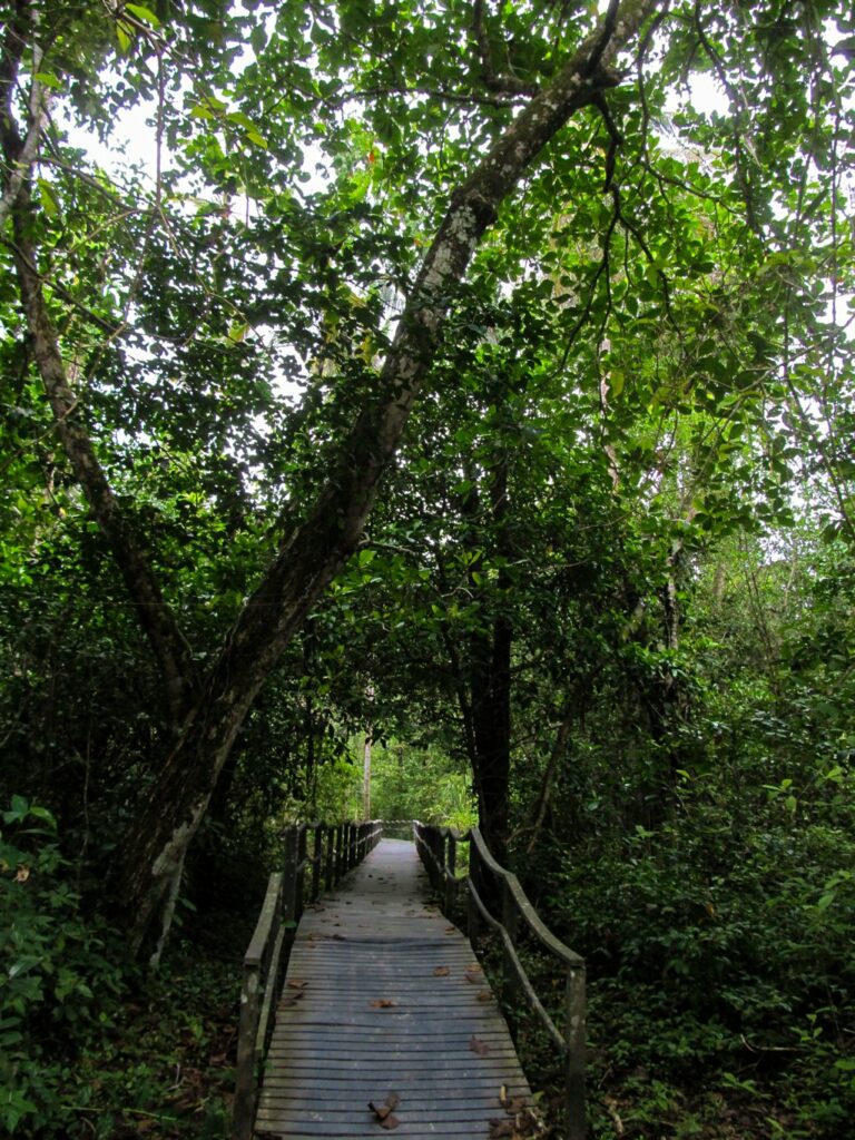 Parc National de Cahuita