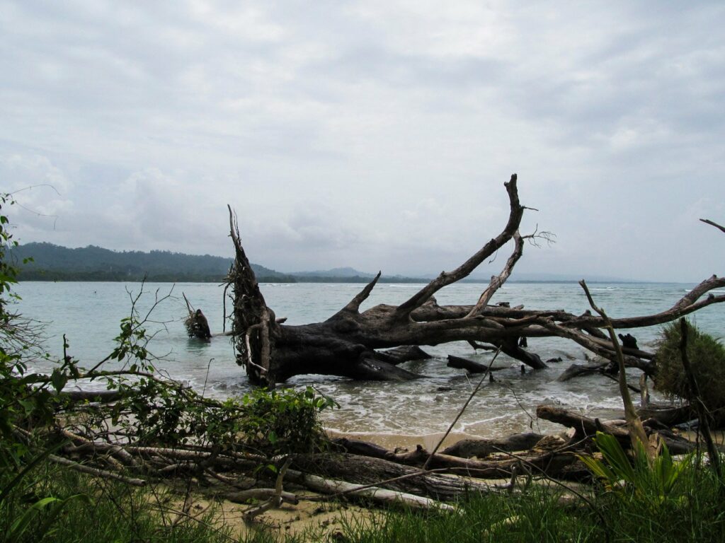 Parc National de Cahuita