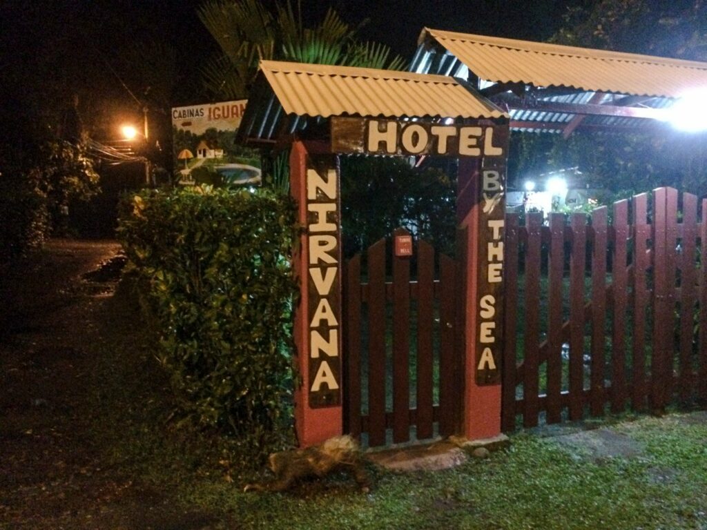 Cahuita: un paresseux tout mouillé devant l'entrée de notre hôtel