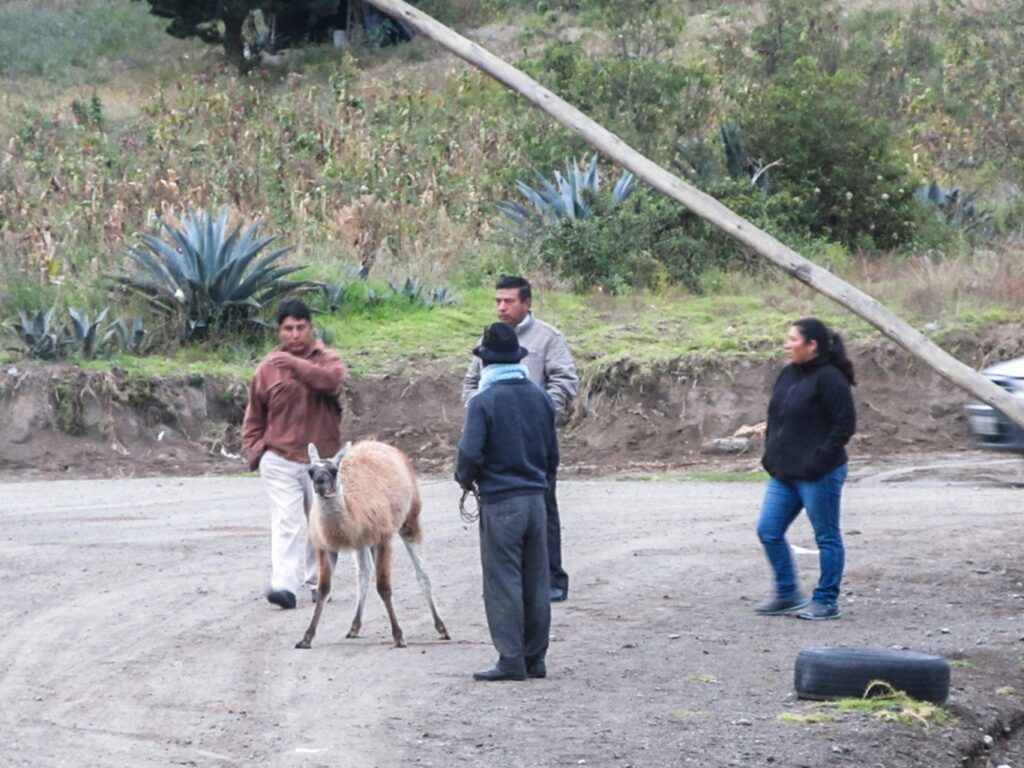 Latacunga, Saquisili et le Parc National Cotopaxi