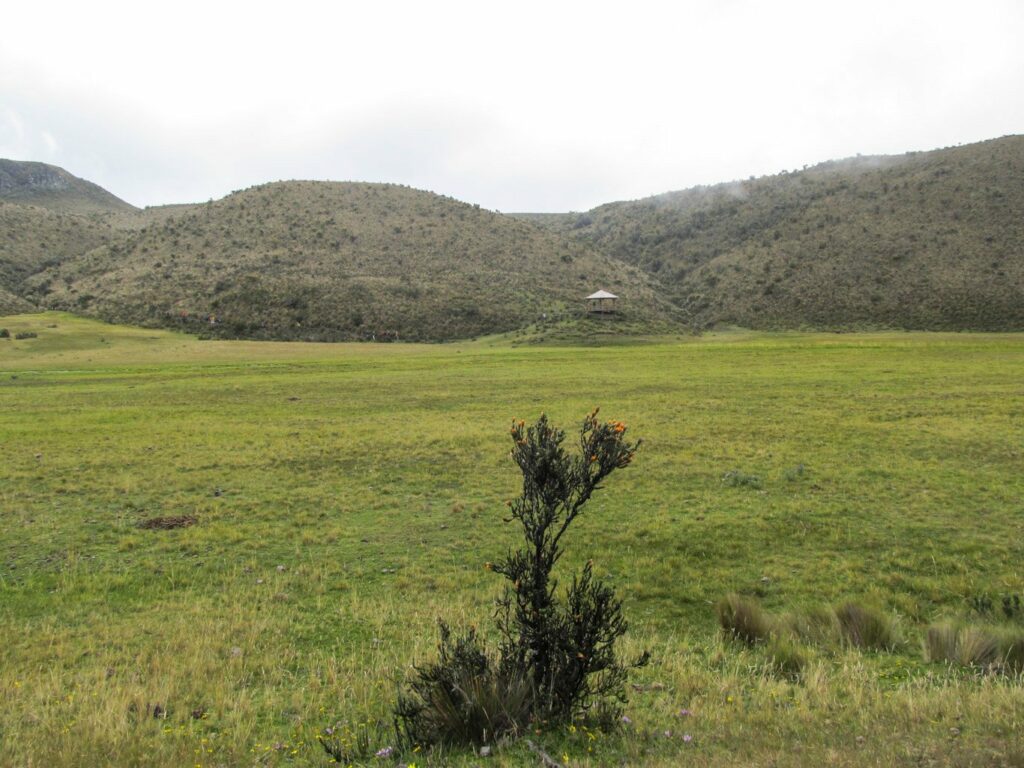 Latacunga, Saquisili et le Parc National Cotopaxi
