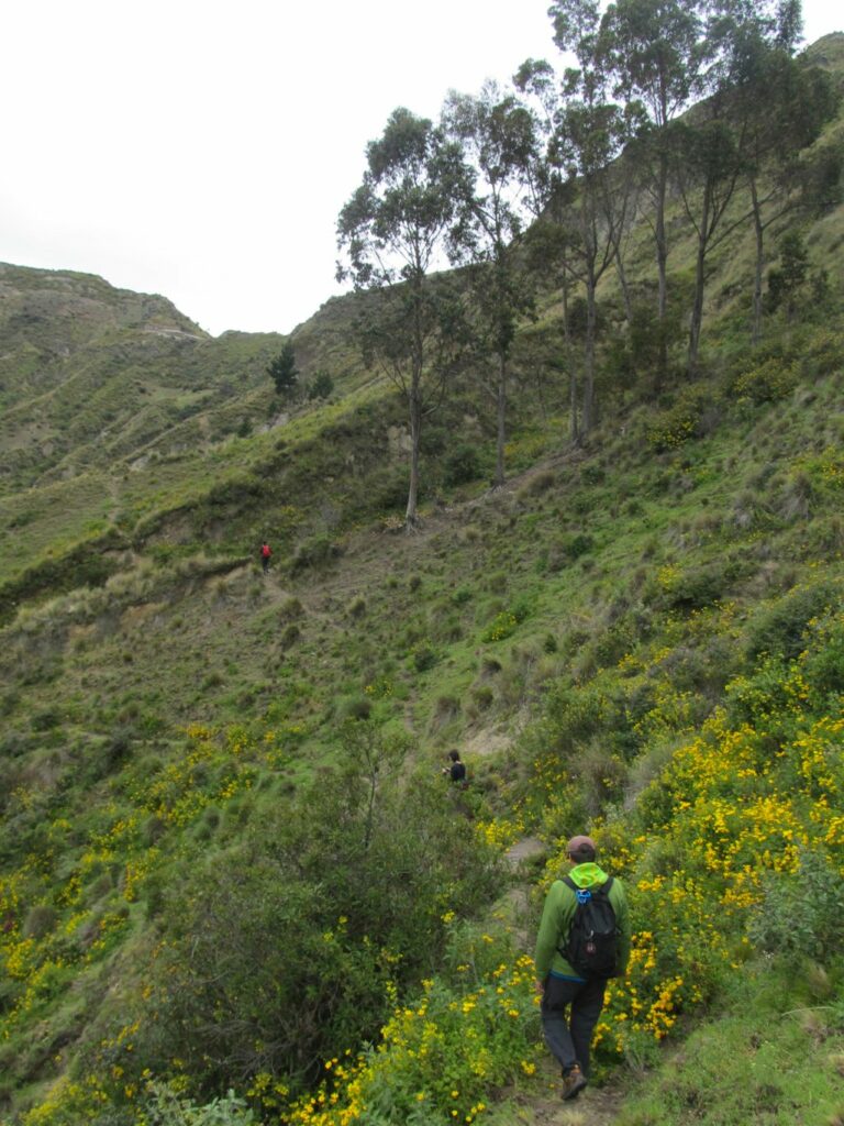 La Laguna de Quilotoa: tour du cratère par les crêtes