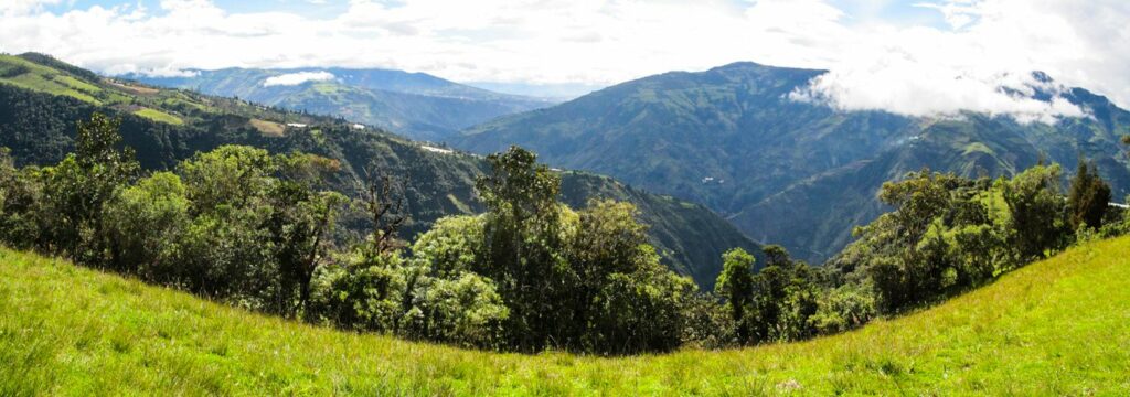 Baños: la Casa del Arbol