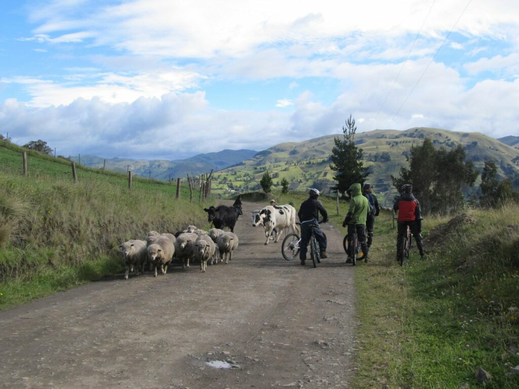 Descente du volcan Chimborazo à vélo