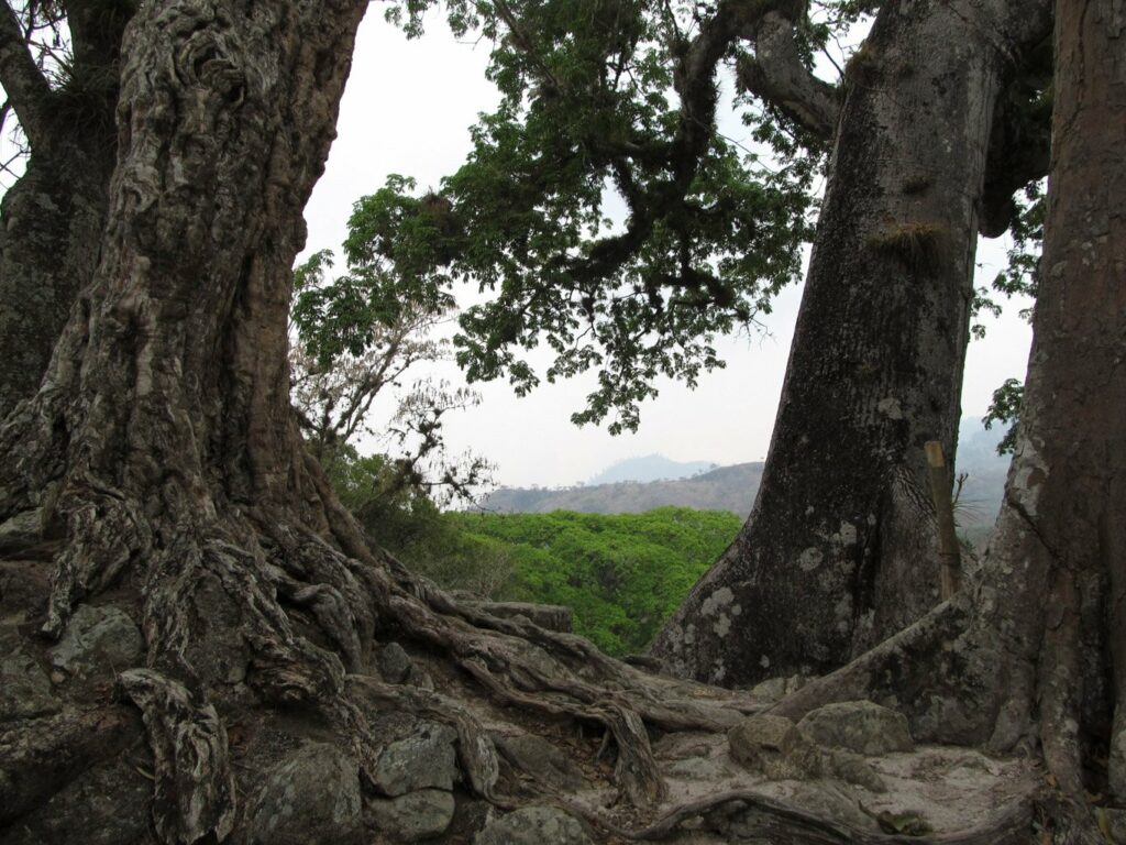 Copan