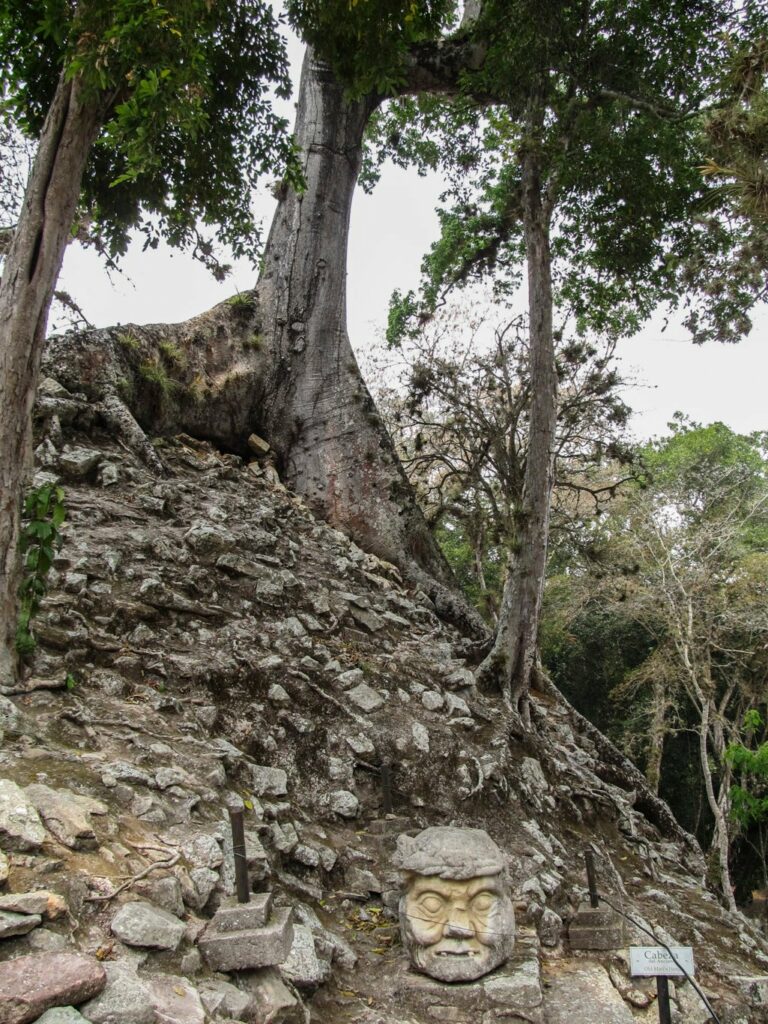 Copan