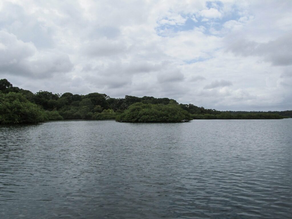 Bocas del Toro