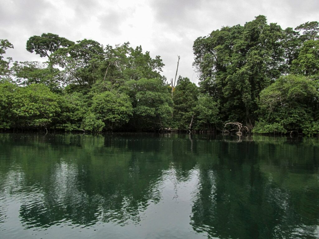 Bocas del Toro