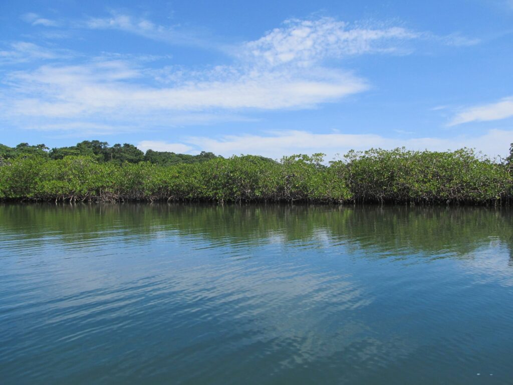 Bocas del Toro