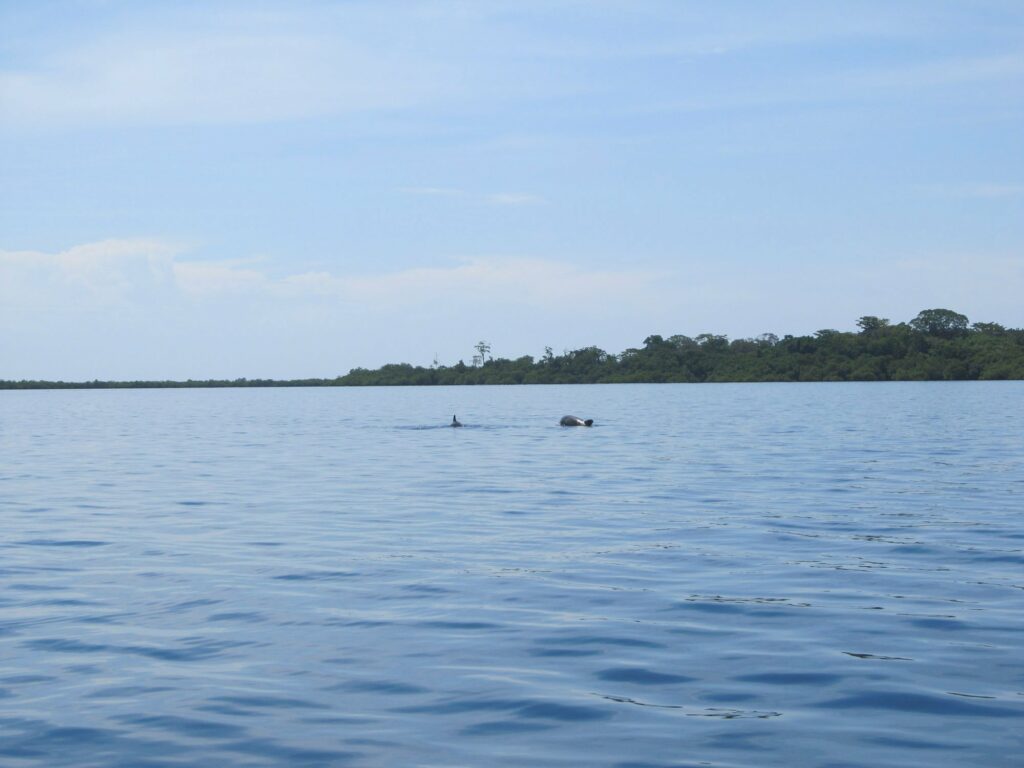 Bocas del Toro