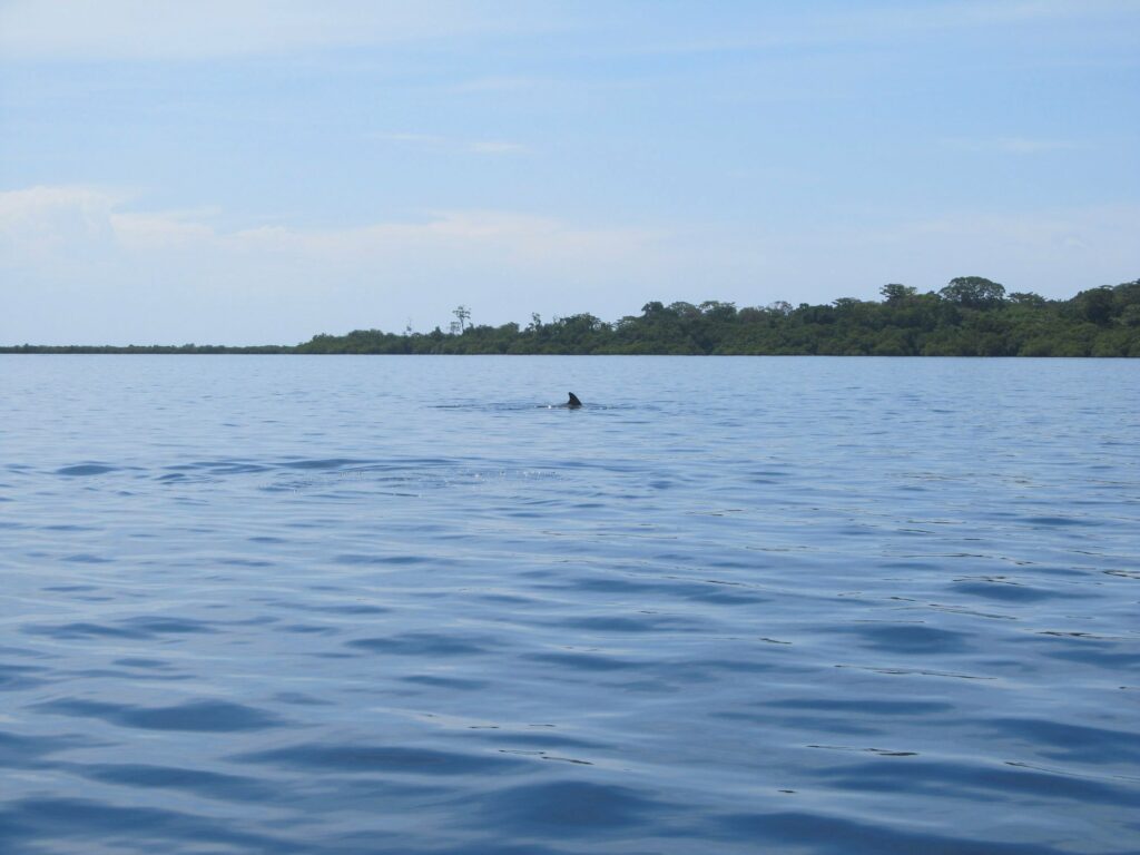 Bocas del Toro