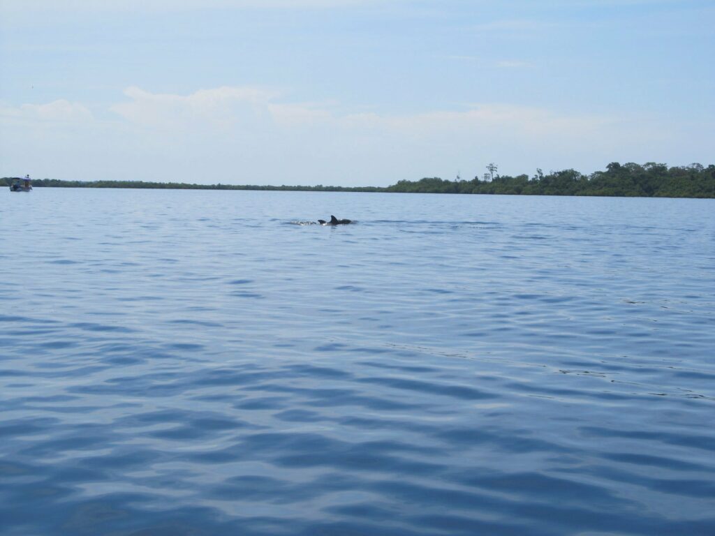 Bocas del Toro