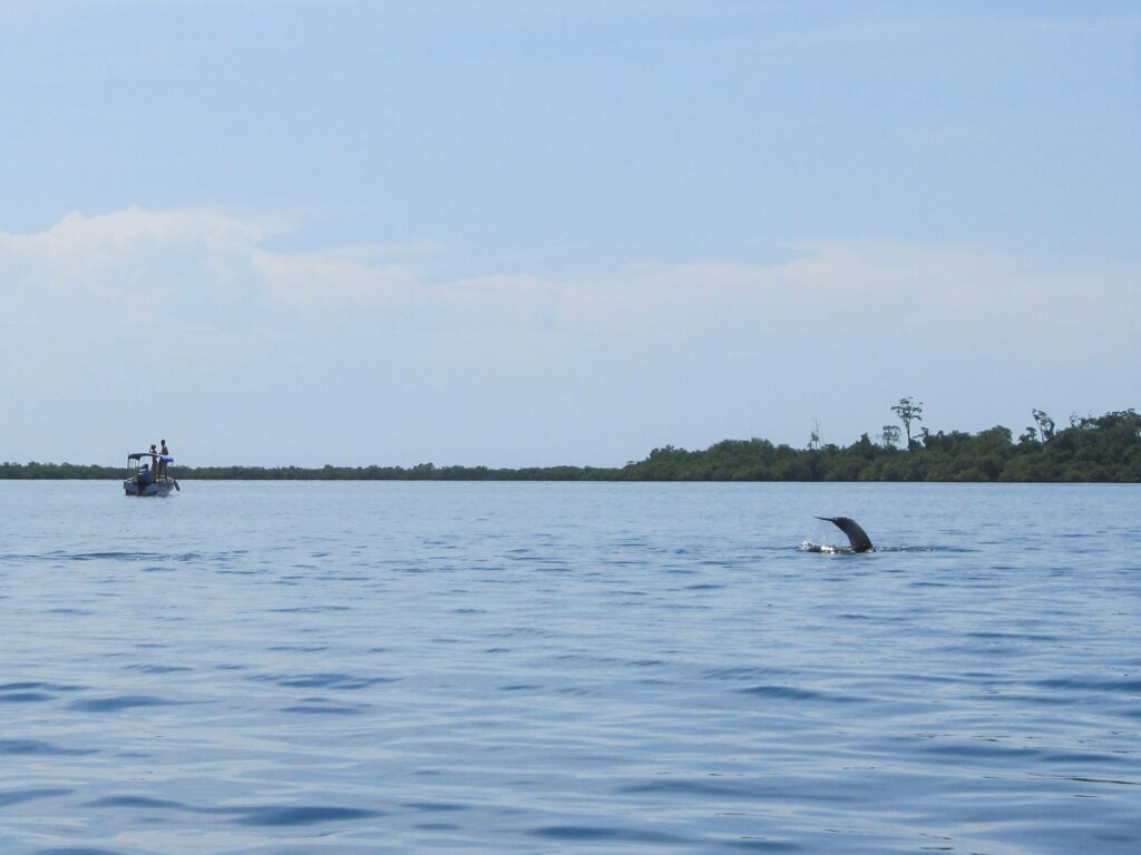 Bocas del Toro