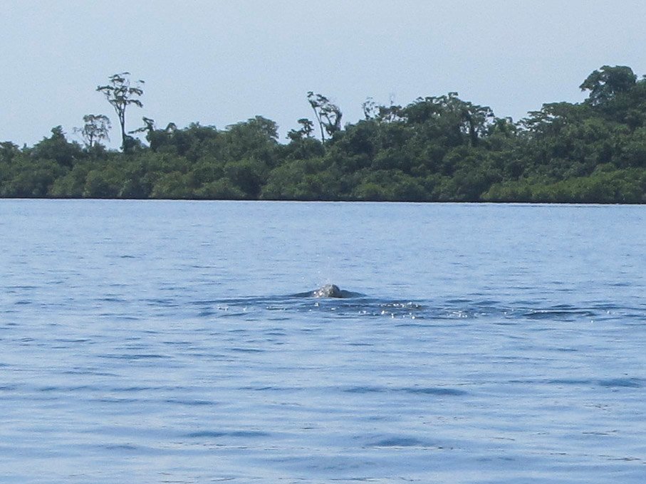 Bocas del Toro