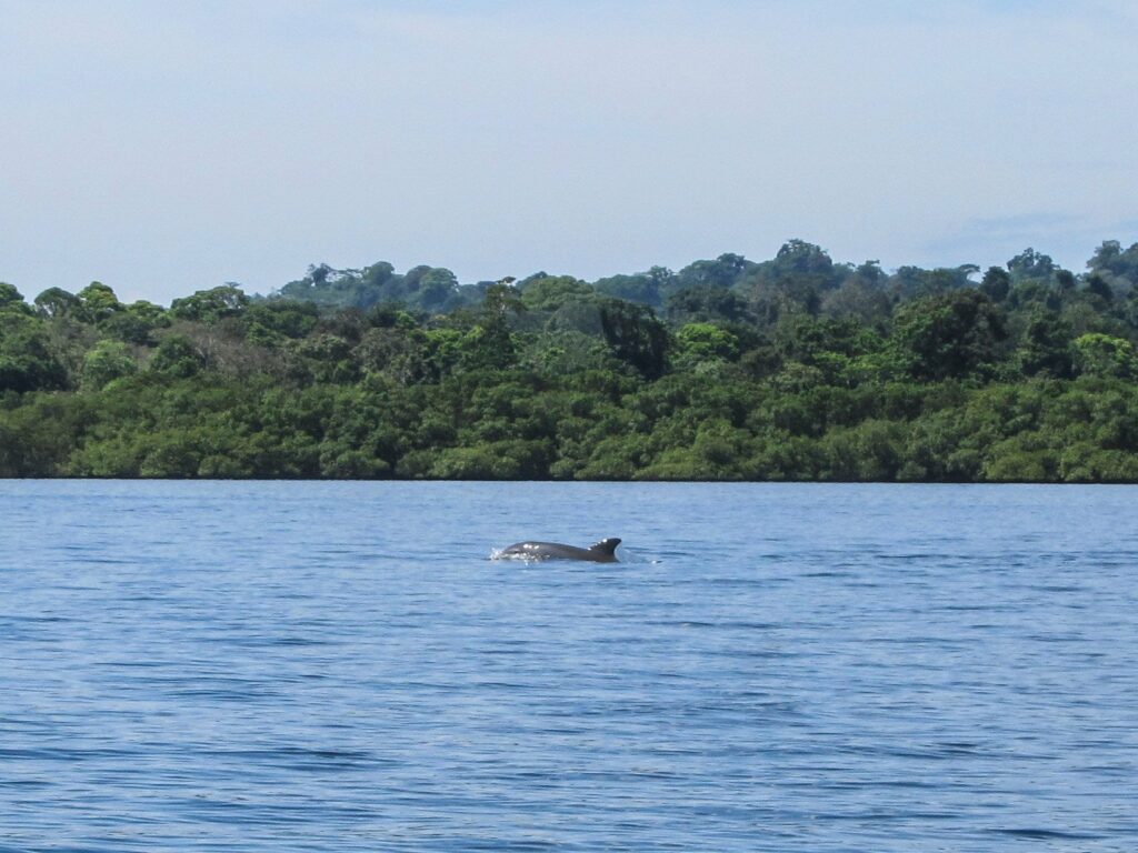 Bocas del Toro
