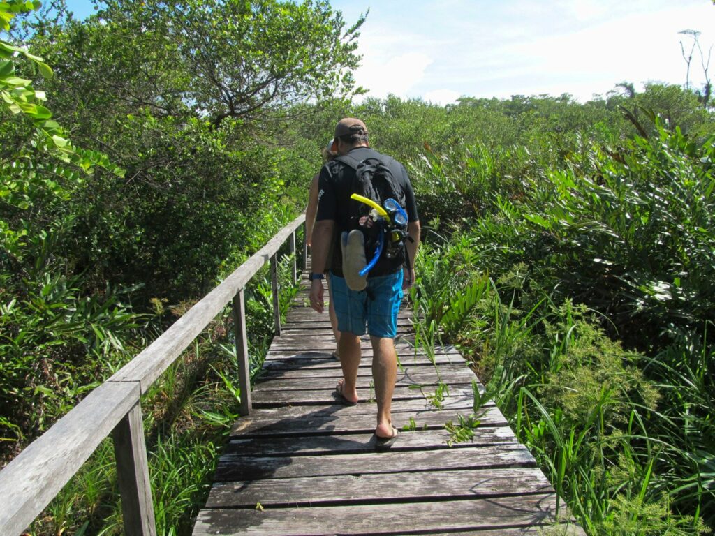 Bocas del Toro