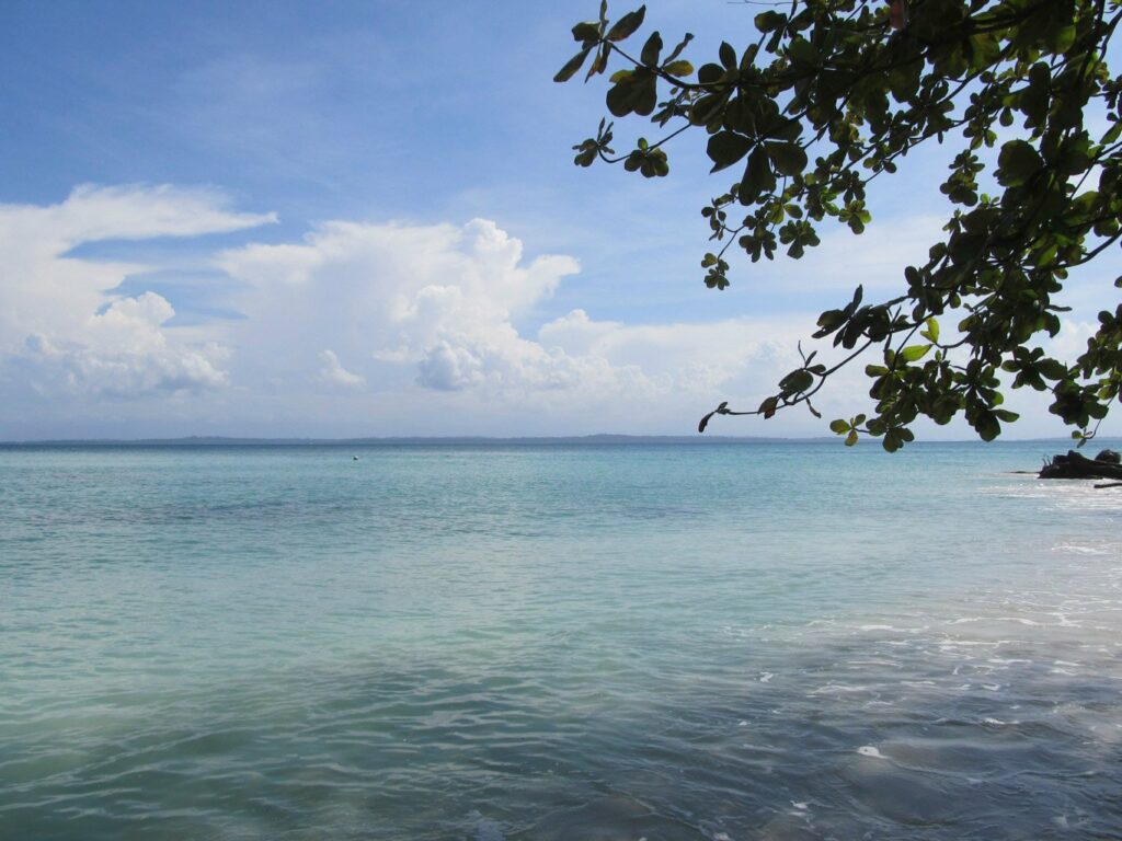 Bocas del Toro