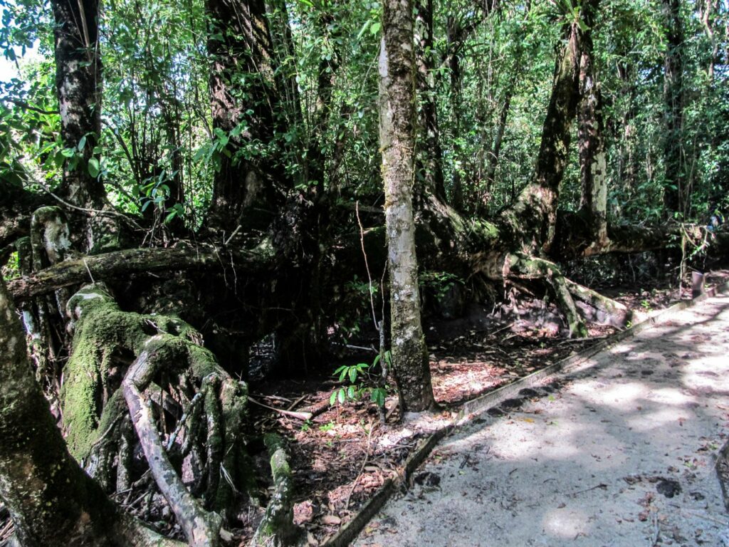 Bocas del Toro