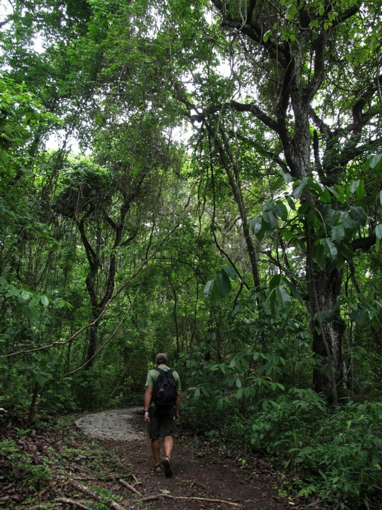 Panama City: Parque Natural Metropolitano