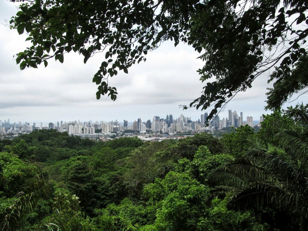 Vue sur les gratte-ciels de Panama City depuis le Parque Natural Metropolitano