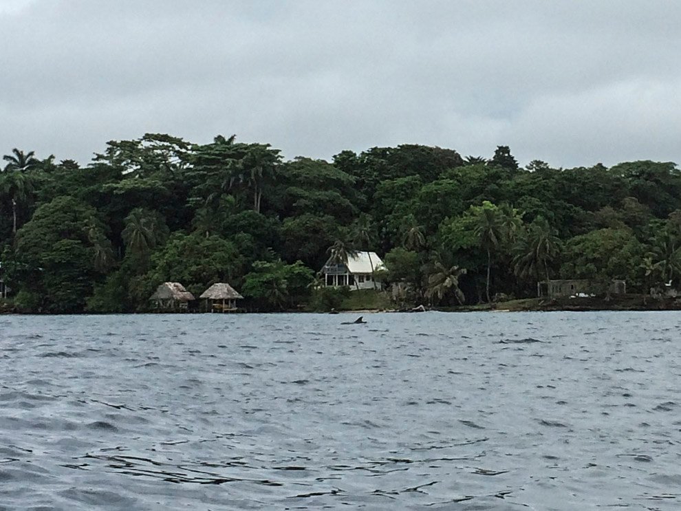 Bocas del Toro: un dauphin ! Le voyez-vous ?