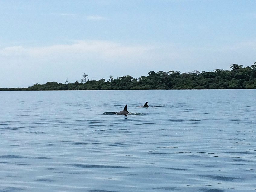 Bocas del Toro