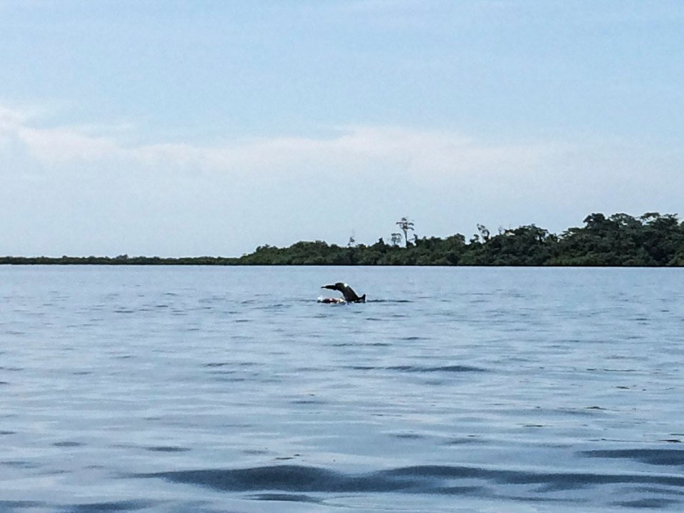 Bocas del Toro