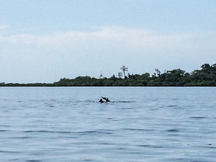 Bocas del Toro