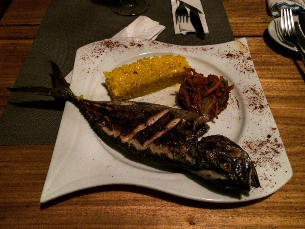 Bocas del Toro: poisson entier frais du jour et son risotto dans un restaurant français
