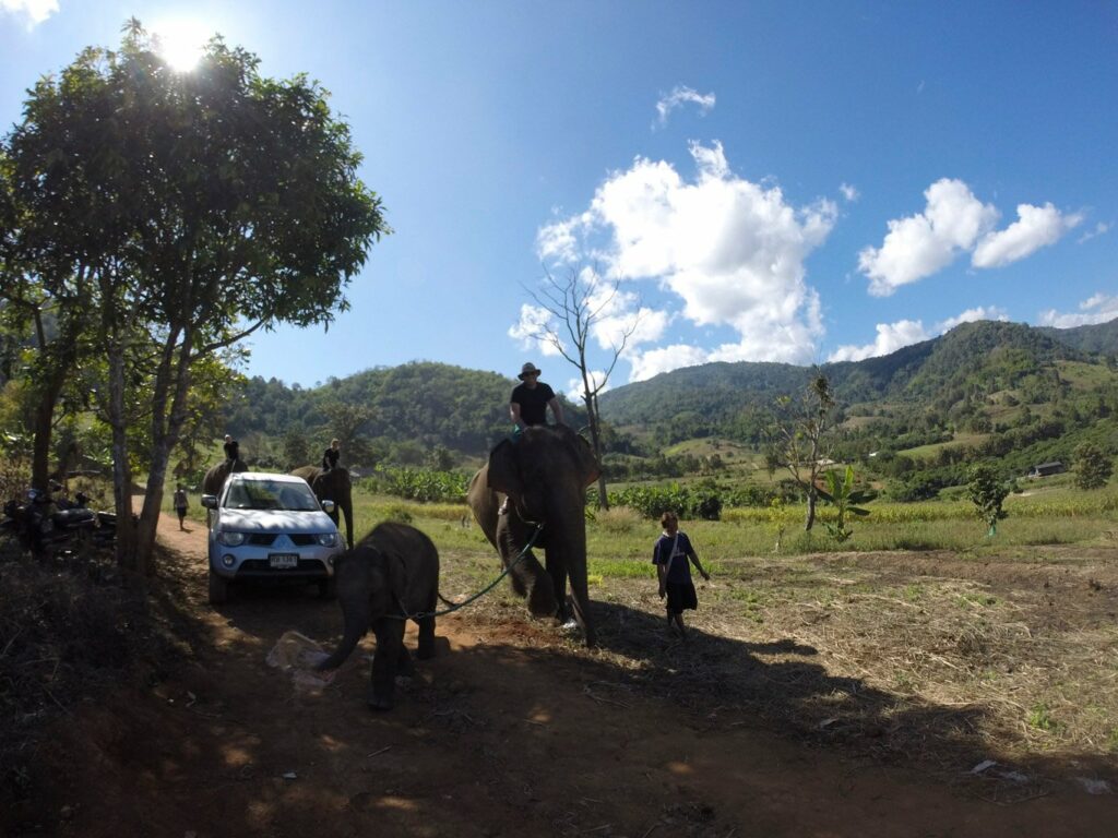Mae Teng: Woody Elephant Training