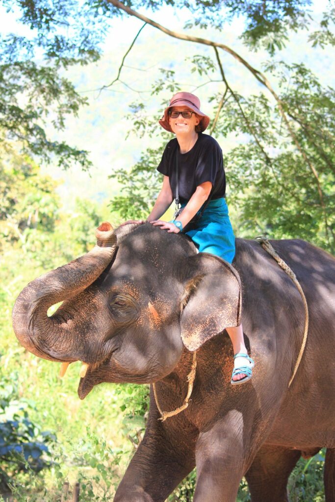 Mae Teng: Woody Elephant Training