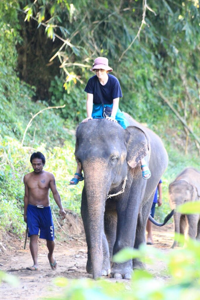 Mae Teng: Woody Elephant Training