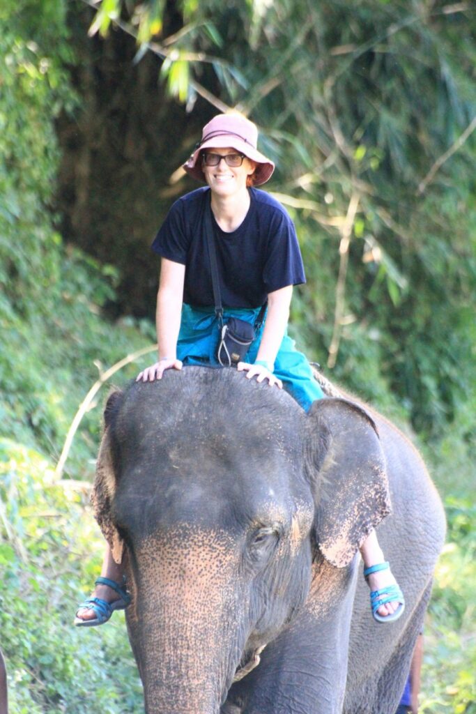Mae Teng: Woody Elephant Training