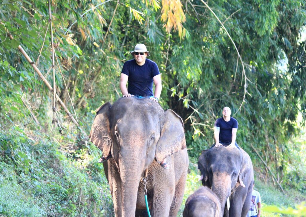 Mae Teng: Woody Elephant Training