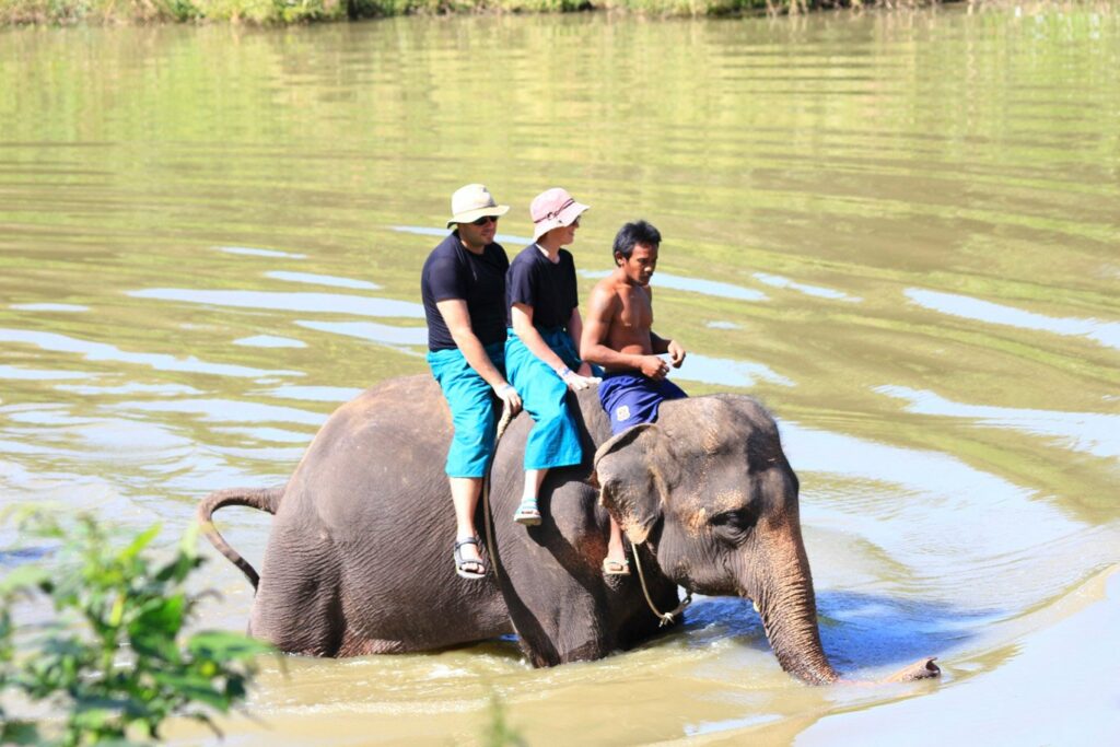 Mae Teng: Woody Elephant Training