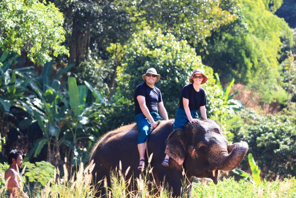 Mae Teng: Woody Elephant Training