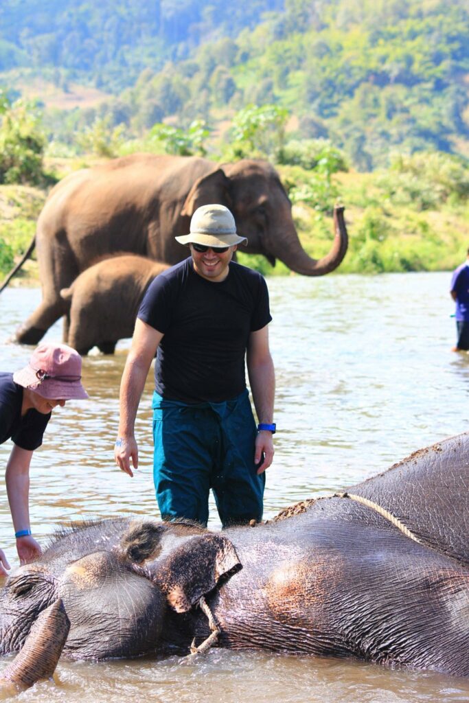 Mae Teng: Woody Elephant Training