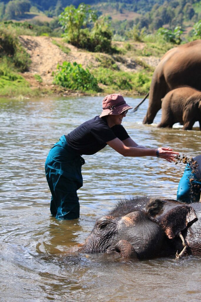 Mae Teng: Woody Elephant Training