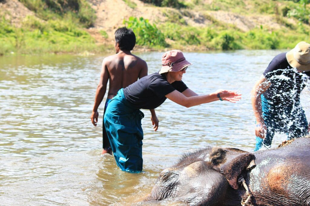 Mae Teng: Woody Elephant Training