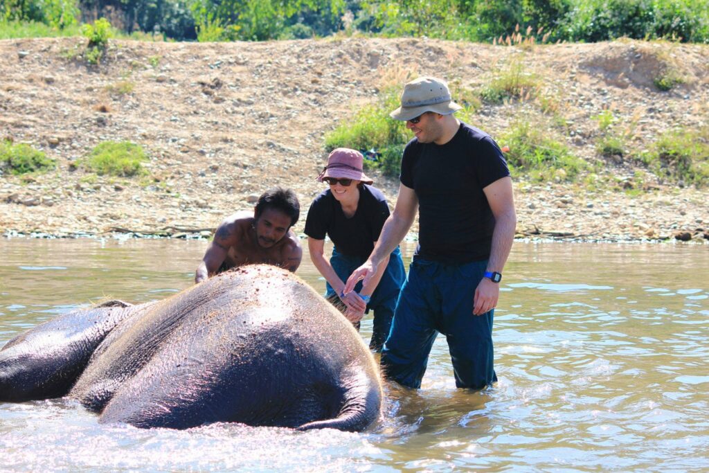 Mae Teng: Woody Elephant Training